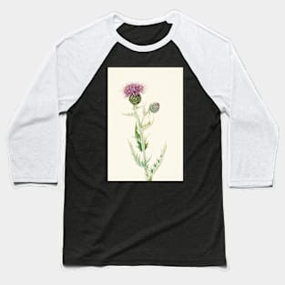 Prairie Thistle - Botanical Illustration Baseball T-Shirt